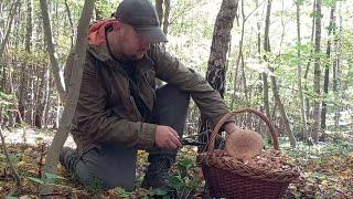 Називається Вийшов погуляти в Ліс на пів Годинки..Гриби багато Грибів! Повний фільм за 20.10.24