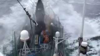 Baleiniers vs Sea Shepherd