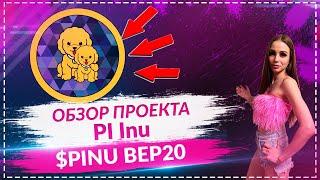 Pi Inu - первая мем-монета концепции Pi Network!!!