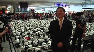 A1 Report - Hong Kong, 1600 panda lodër vendosen në aeroport, promovim për mbrojtjen e tyre