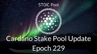 STOIC Pool Update: Epoch 229 Cardano Stake Pool, a0 A Nought Parameter & Min Pledge?