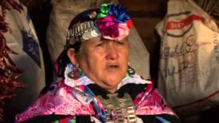 MAPUCHE DUNGUN - La Palabra. María Teresa Panchillo - poeta mapuche