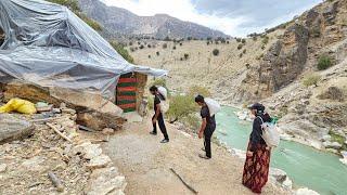 Nomadic Life: Family’s Daily Effort to Gather Acorns for Feeding the Sheep