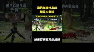 当我在野外发现极品人参时 #猫meme #猫meme小剧场