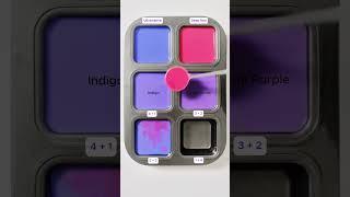 Create 4 colors from 2 colors : Ultramarine + Deep Red #asmr #mix #colors #satisfying #mixing