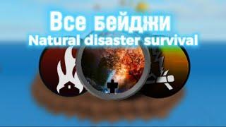 Все бейджи в Natural disaster survival : Интересные факты