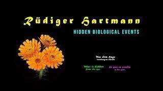 Was dem Auge verborgen bleibt • Hidden biological events • Lo que se oculta a los ojos • 01