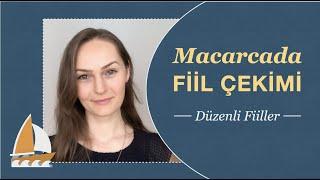 Macarcada Düzenli Fiillerin Çekimi (Geniş ve Şimdiki Zaman)