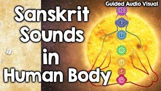 Meditation on Sanskrit Sounds in Human Body- AksharaMala Japam