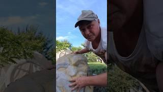Петуния и скульптура гениально простой цветник #петуния #цветы #маф #своимируками #дача #diy