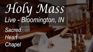 Live Mass & Rosary - 7 AM - Mary, Mother of the Church - Mon - Jun 09