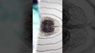 Neuroscience & Society: Bioethics