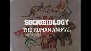 Sociobiology: The Human Animal - Part I. - 1977