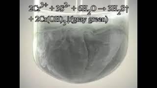 Add Sodium Sulfide Into ChromiumIII Chloride