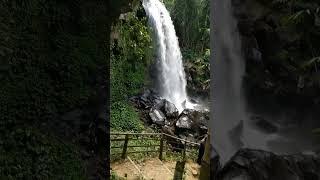 Coban Lanang Waterfall Kota Batu #batu #coban #waterfall #malang