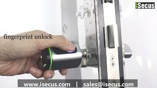 Smart Fingerprint Cylinder Lock, works with Tuya Smart