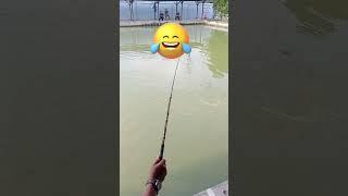 Mancing patin senar pedot mocel #mancing #fhising #shortvideo #shorts