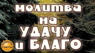 СЕГОДНЯ ПОПРОСИ об УДАЧЕ И БЛАГОПОЛУЧИИ  Николай чудотворец, секреты счастья