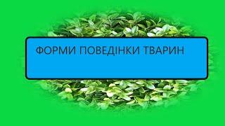 Відео-урок на тему - Форми поведінки тварин