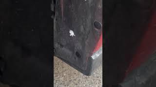 Honda gets mud flaps #subscribe #helpmemakethismakesense #mechanic #trythatinasmalltown