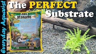 JBL Manado Dark | Best Substrate For Plants and Shrimp Tanks