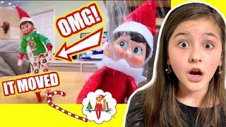 Elf on the Shelf BEWEGT sich!!   Schaue niemals alleine diese TikToks um 3 Uhr nachts  Alles Ava