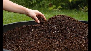 The Ultimate Guide to Mulching: Why, How, and When