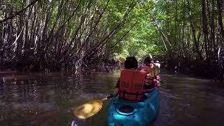 Best Of Krabi : Ao Thalane Mangrove Kayak Adventure