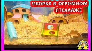 Уборка и   новая мебель для хомяков / Милку обижают / Алиса Изи Петс / Alisa Easy Pets