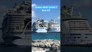What cruise I’m I?