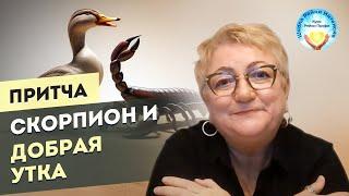 Притча про Скорпиона и Добрую Утку. Мудрые притчи о жизни. Мастер Рейки Татьяна Яшнова