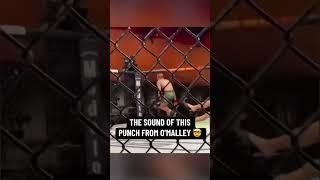 The sound of this punch  (via @UFC/TT)
