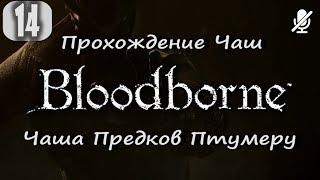 #14 Bloodborne / Чаша Предков Птумеру