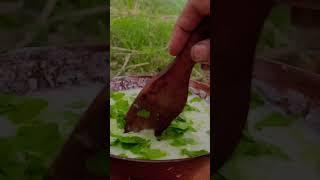 Cucumber Raita #forest #forestcamping #forestcooking #woodstove #solo #stove #cookyourself #nature