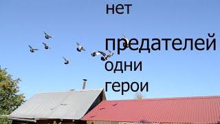 ОНИ ВОЗВРАЩАЮТСЯ. СОБЫТИЯ, ФАКТЫ,, Тренировка на 100км.Спортивные голуби