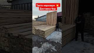 ТЕРАК тахта нархлари  андижон коргонтепа 29.12.2024 #рекомендации #рек #тренд