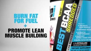 NEW BEST BCAA SHREDDED™ by BPI Sports