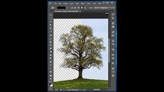 Powerful Technique to Remove Background in Photoshop cc | MH Tech