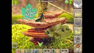 Moss Forest Adventure Video Walkthrough