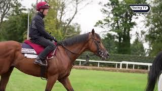 Aidan O'Brien: My Glorious Goodwood team including Kyprios, Point Lonsdale and Henry Longfellow