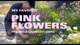 My Favorite Pink Flowering Plants (Perennials & Summer Flowers) | Perennial Garden