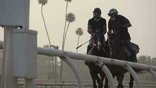 California Thoroughbred Racing Club