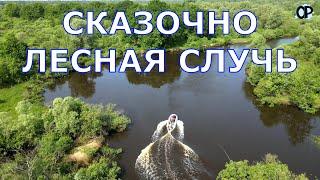 ЛЕСНАЯ СЛУЧЬ Дикая, строптивая и очень красивая река