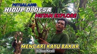 ADVENTURE OF LIFE IN THE VILLAGE,EXPLORE FOREST,SEARCH FOR FIREWOOD IN THE  FOREST,TALUK KUANTAN