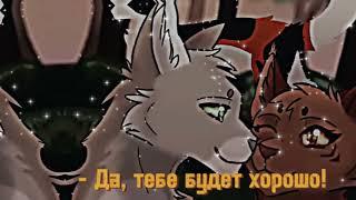 Коты воители | Меме | Яблочник, Остролап, Белогривка, Кленовница, Уголёк, Звездоцап | Хэдшот