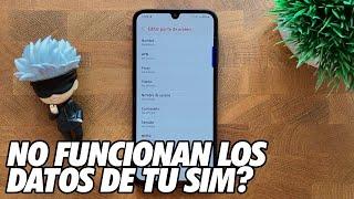 Que Hacer si NO Funcionan los Datos de la Tarjeta SIM? Configuracion de APN