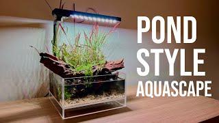 STEP-BY-STEP Pond Aquascape!