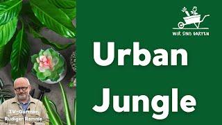 Urban Jungle! Was kann der neue Trend? Mit Rüdiger Ramme