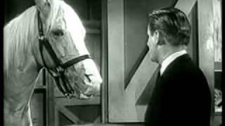 Mr Ed The Talking Horse Public Service Announcement