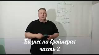 Бизнес на бройлерах (часть 2)